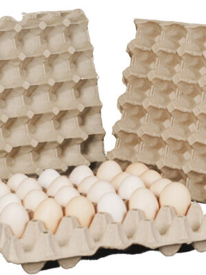 Pulp Molding