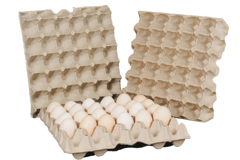 Pulp Molding