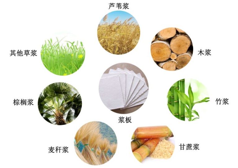 Pulp Molding Materials Overview